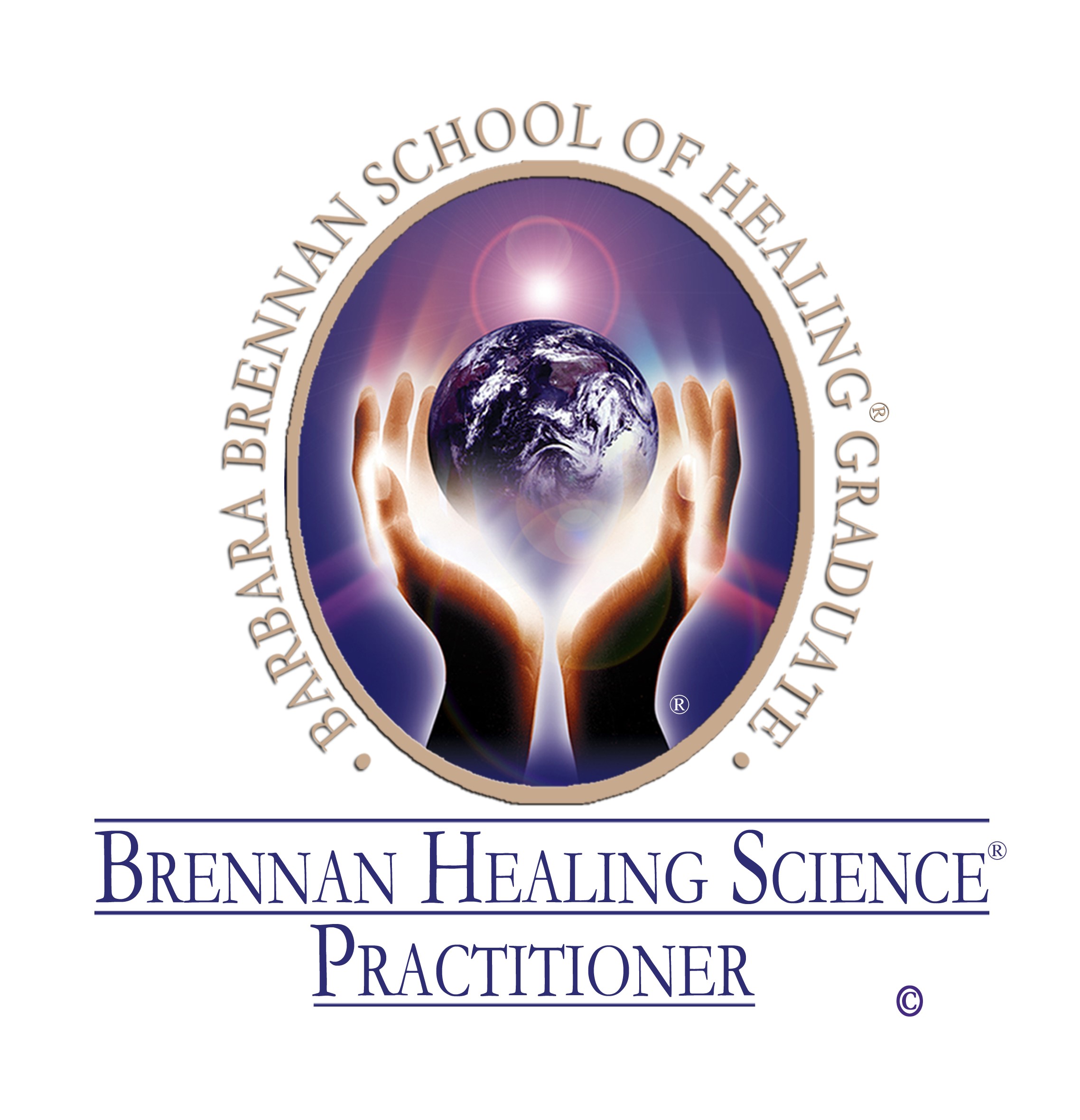 Logo Barbara Brennan school
